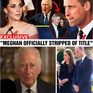 👑💥 “Enough!” King Charles Issues Permanent Royal Ban on Meghan After Explosive Palace Report — Shockwaves Rip Through the Monarchy ⚡😱