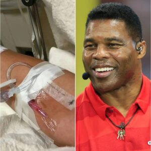 "Stronger Than Ever": Herschel Walker Shares Heartfelt Message Following Surgery, Rallies Bulldog Nation for Prayers and Support cz