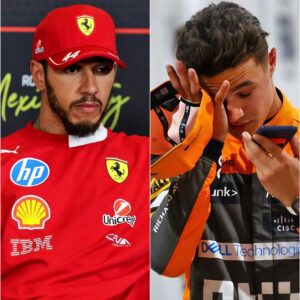 10 minutes ago: Lewis Hamilton just detonated an absolute bomb defending Lando Norris — no filters, no hesitation