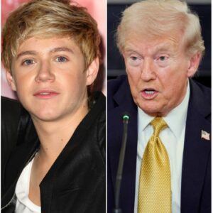 🍀 The Quiet Fire: Niall Horan’s Unscripted Stand Against Trump in Immigration Showdown nabeo