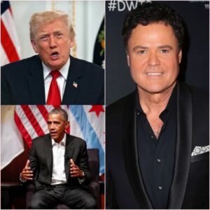 The Osmond Earthquake: When America’s Ultimate "Nice Guy" Dropped the Mic on Political Chaos