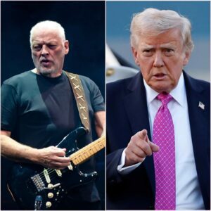 The Solo That Stopped the Rally: David Gilmour’s Reckoning with Trump