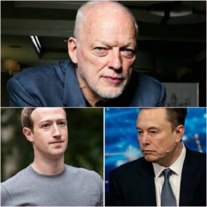 The Solo That Silenced the Room: David Gilmour’s $10 Million Reckoning with the Elite