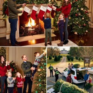 Christmas tree shopping in Windsor has taken an unexpected twist this year — and locals are definitely talking about it.