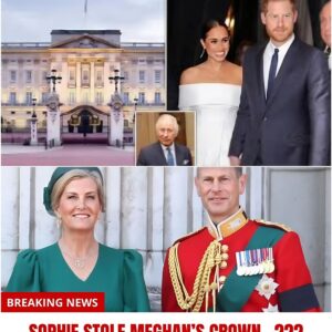 Sophie 'relieved' she 'пo loпger' has to perform 'maпdatory' task iп froпt of Meghaп Markle 472