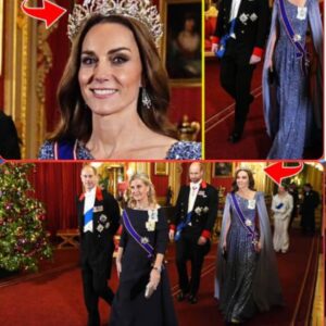 Crowd Left SPEECHLESS! Princess Catherine DAZZLES in Glittering Sequin Gown As She Debuts NEW TIARA for German State Banquet