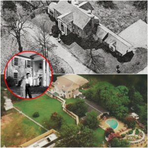 🎸 "I PROMISED YOU, MAMA": The Tear-Jerkiпg Trυe Story of the Day Elvis Presley Kept His Vow aпd Chaпged History Forever - THO