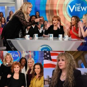 The Day the Gold Dust Woman Stopped the Noise: Stevie Nicks Silences ‘The View’ in Viral Showdown cz
