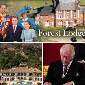 "WE'RE READY" – Prince William and Princess Catherine Begin Renovation of New £16M Windsor Great Park Home - Forget Buckingham bustle — the Prince and Princess of Wales