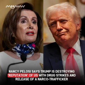 Nancy Pelosi delivered a sharp rebuke of President Donald Trump’s handling of drug enforcement and immigration