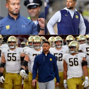 The Day the Golden Dome Went to War: Marcus Freeman’s Scorched-Earth Indictment of the College Football Playoff. ws