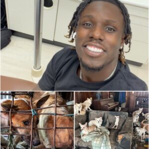 🐾 THE SOUL SANCTUARY: Jamal Roberts Builds a $5 Million Haven, Setting a New National Standard for Animal Grace lht