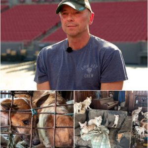 🐾 THE SANDBAR SHELTER: Kenny Chesney Builds a $5 Million Haven, Setting a New National Standard for Island Freedom lht