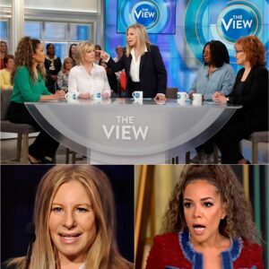 The Silence That Screamed: Barbra Streisand Turns an Insult Into a Masterclass of Grace on 'The View' ws