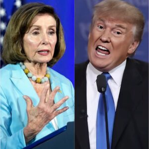 NANCY PELOSI JUST WENT FULL FIRE ON TRUMP IN A LIVE IMMIGRATION SHOWDOWN