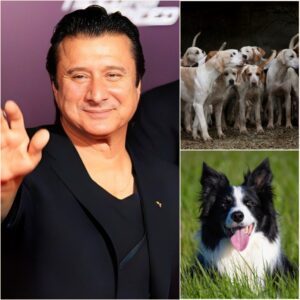 Steve Perry Is Building “God’s Country Rescue Ranch” — A Multi-Million-Dollar Sanctuary for Abused and Abandoned Dogs - H