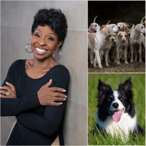 Gladys Knight is building “God’s Country Rescue Ranch” — a massive, multi-million-dollar facility in rural Oklahoma dedicated to abused and abandoned dogs. - H