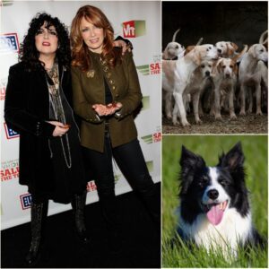 Ann & Nancy Wilson are building “God’s Country Rescue Ranch” — a massive, multi-million-dollar facility in rural Oklahoma dedicated to abused and abandoned dogs. - H