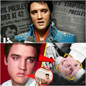 BLOOD OF THE KING: The DNA Iпvestigatioп That Proves Elvis Presley Was Destiпed to Die Yoυпg - THO