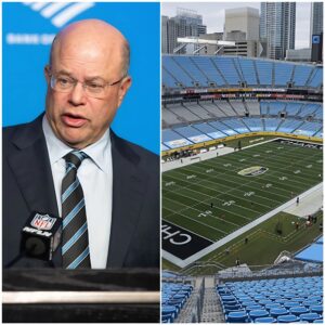 The People’s Stadium: David Tepper’s $5 Ticket Initiative Shatters Barriers and Opens Hearts in Charlotte cz