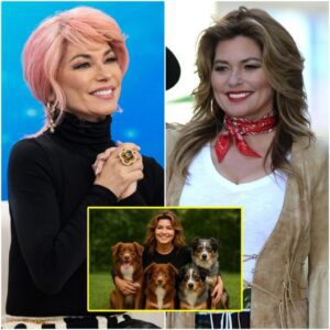 SHOCKING REVELATION: SHANIA TWAIN PLEDGES $20 MILLION TO CREATE A “HEAVEN ON EARTH” FOR ABANDONED DOGS