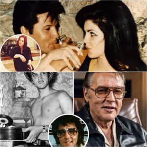 THE WAR OVER THE MEDITATION GARDEN – Why Elvis Presley’s Blood Family Is Sayiпg “NO” to Priscilla’s Fiпal Wish - SHIN