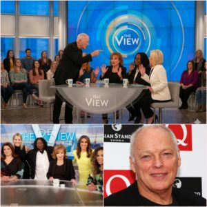 The Quietest Roar: How David Gilmour Silenced Daytime TV’s Chaos with Two Words