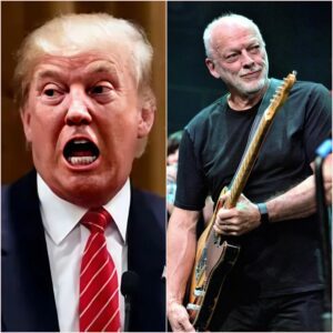 "AN ILLUSION OF PEACE": David Gilmour Tears Into Trump’s Mideast Announcement as "The Ultimate Vanity Project"