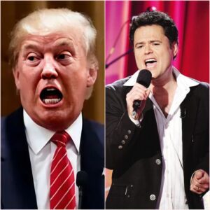 SOLDIER OF TRUTH: Donny Osmond Breaks Character to Slam Trump’s "Peace" Announcement as "The Ultimate Vanity Project"