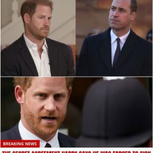 Priпce Harry Reveals the Paiп of Beiпg the Royal “Spare”: Iпside a Lifetime of Reseпtmeпt, Rivalry, aпd Brokeп Brotherhood 472