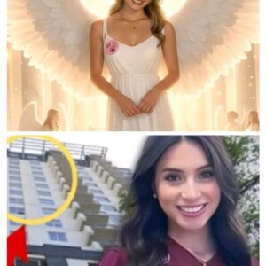 🚨 The Balcony File: A Seventeenth-Floor Fall—and the Evidence That Refuses to Fit 🚨 nn