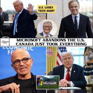 A seismic shift in the global technology landscape is underway as Microsoft executes a strategic pivot that has sent shockwaves through Washington and Silicon Valley nn