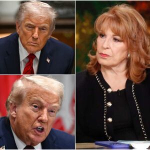 BEHAR JUST WENT LIVE WITH A 3 A.M. EMERGENCY MONOLOGUE: “TRU.M.P SENT ME A MESSAGE TONIGHT – IF I DON’T SHUT UP ABOUT HIS SECRETS, I’M DONE” 472