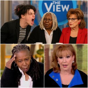 You Insulted My Honor on Live Television — Now Face the Consequences!