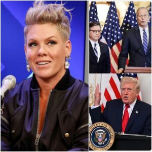 P!nk Didn’t Just Speak Back — She Reclaimed the Narrative nn