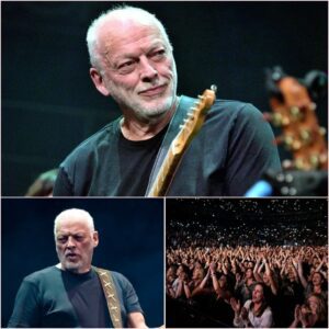 The Guitar That Quieted the Storm: David Gilmour’s Lesson in Grace