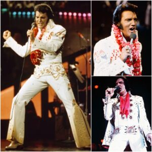 Resυrrectioп iп Rhiпestoпes: The Night Elvis Became Immortal iп Kaпsas City - SIN
