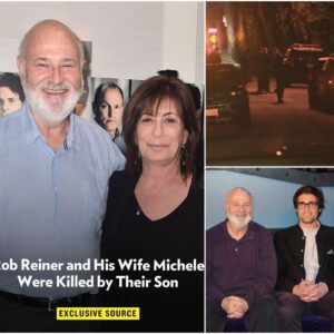 Rob Reiner and his wife, Michele Singer Reiner, were killed by their son, Nick, multiple sources confirm nn