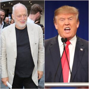 THE WALL STRIKES BACK: DAVID GILMOUR’S LEGAL FURY OVER THE HIJACKING OF “COMFORTABLY NUMB”